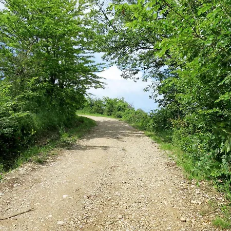 Sociano By Interhome Vaiano